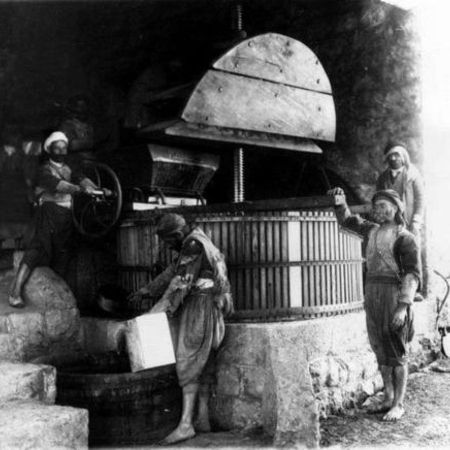 Weingut Libanesische Weine von Château KSARA